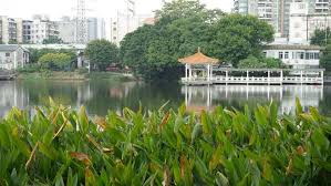 福州市仓山区二手房